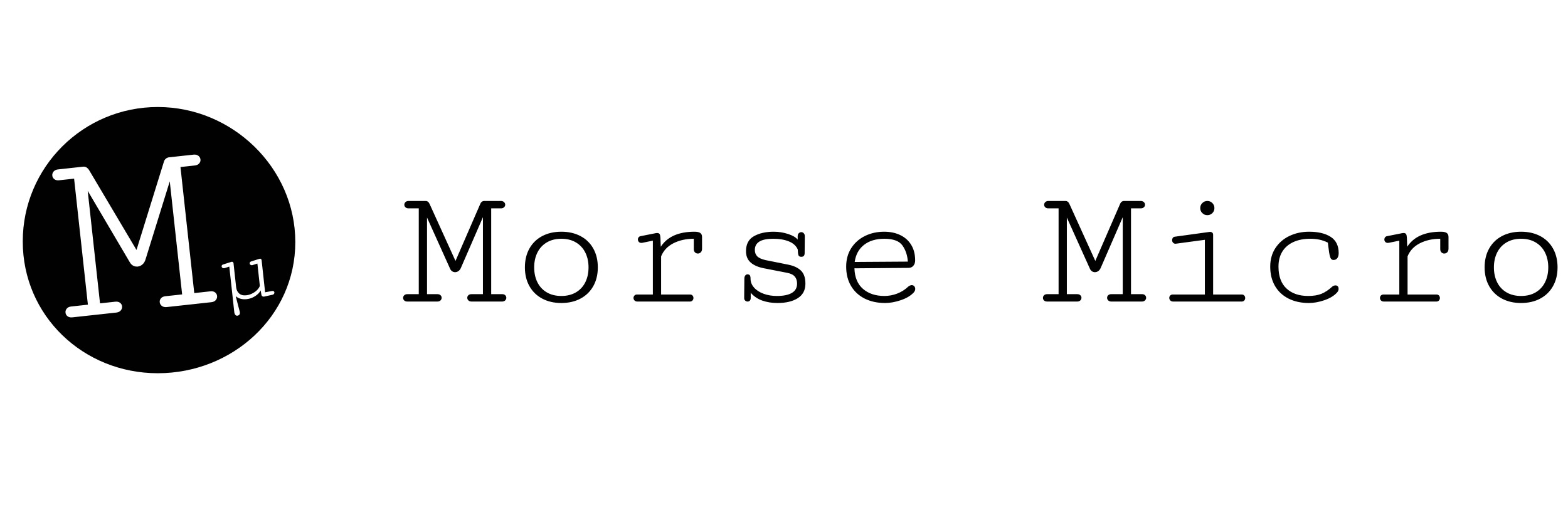 Morse Micro